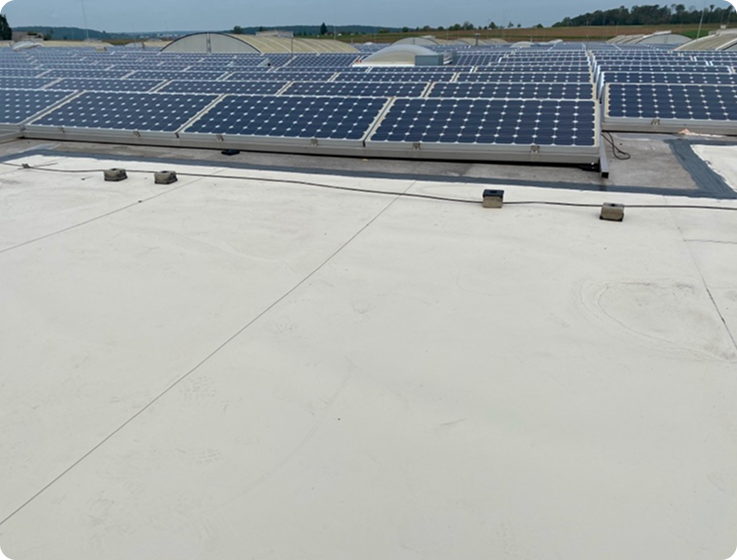 Hier finden Sie Beispiele für Flachdächer unserer Kunden vor und nach der Inspektion von IB-RIEF.