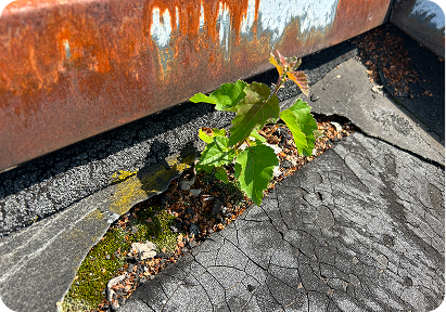 Mit einer Prüfung Ihres Flachdachs vermeiden Sie hohe Kosten von Sanierungen.